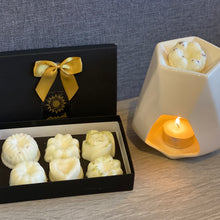 Load image into Gallery viewer, Aspen Wax Melt Burner